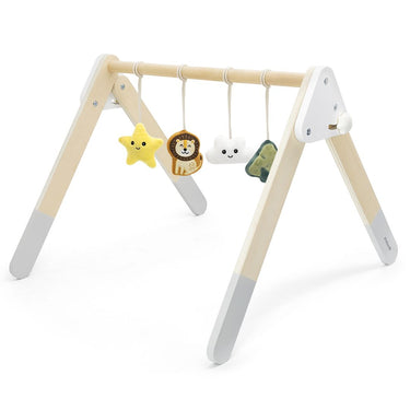 Baby Play Gym